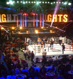 Турнир Fight Nights. «Битва под Москвой»